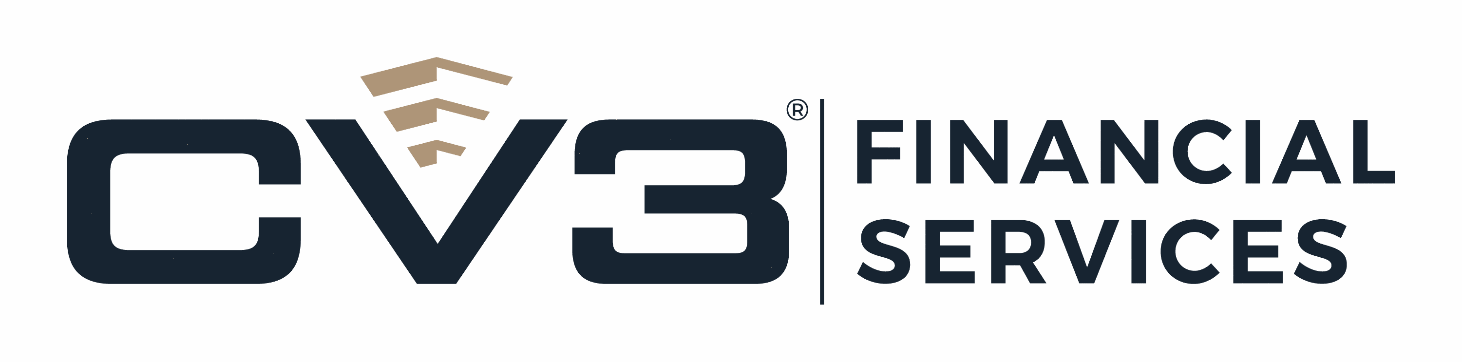 CV3 Financial Services